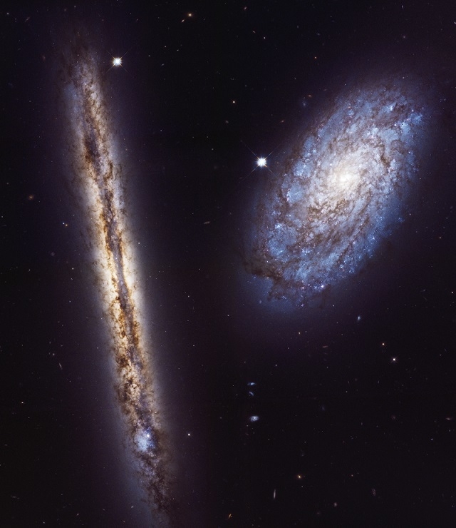 「NGC4302」と「NGC4298」